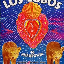 Los Lobos Fillmore 1996